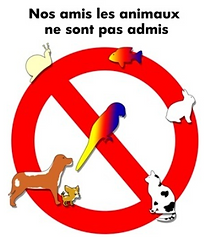 animaux